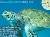 #WorldTurtleDay #May23 #AmericanTortoiseRescue