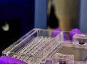 Ways Genotyping Helping Shape Science Industry