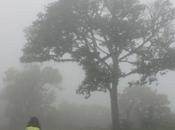 DAILY PHOTO: Misty Western Ghats