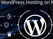 Setup WordPress Cloudways Hosting Step Guide