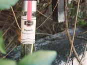 Togouchi Blended Japanese Review