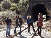 Area Heavy Rockers, Cloud, Sign Ripple Music Album Tour