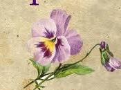 Pell Paints Himself Victim: "George Thought That Pansies Belonged Garden" Homophobic Backdrop Story