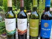Latest from “Wines Altitude” with Amalaya Wines Bodega Colomé