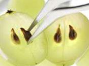 Mega Care Grape Seed Important Information About