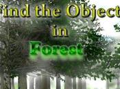 Find Objects Forest