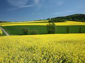 Spring 2012 Fashion Trends