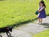 Using Reins Your Child Treating Them Like Dog?