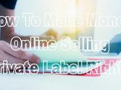 Make Money Online Selling Private Label Rights