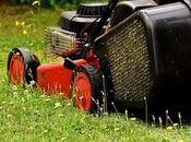 Select Perfect Mower Your Yard Size