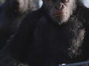 Planet Apes (2017) Review