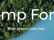 75,000 Trees Donated ‘Trump Forest’ Offset President’s Climate Destruction