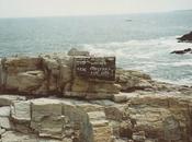 Tongue Rudder: Sailing Story