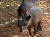 Venezuela Subsidies Plunge Nation Deep Crisis