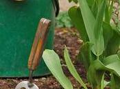 Properly Mulch Your Garden Just Simple Steps