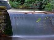 Build Perfect Garden Pond