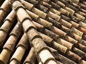 Roofing Different Areas World