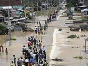 Flood Devastation Nepal 2017 Rhino Swept Miles India Rescued