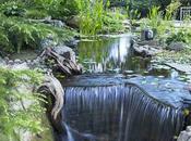 Choose Best Water Pump Your Pond