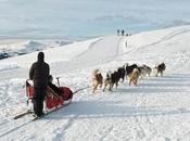 Arctic Explorers Inspire Your Polar Travels