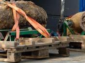 with Unexploded Bomb Police Abhishek Patel's Glory