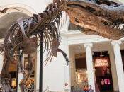 Goodbye Sue: World’s Largest Dinosaur Takes Spot Field Museum