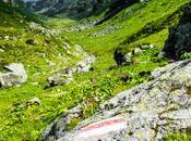 Swissness