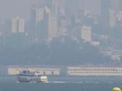 Could This Year Finally Admit Global Warming?