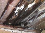 Cost-Effective Tips Getting Dampness Humidity Inside Your Home