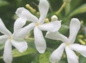 POEM: Nature Needs Selfies