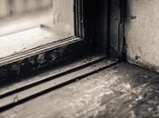 Prepare Your Windows Fall Winter