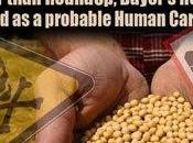 European Glyphosate Safety Report Copy-Pasted Monsanto Study