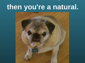 Comment Section Worth Reading