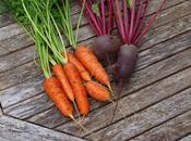 Still Harvesting Carrots Beetroot