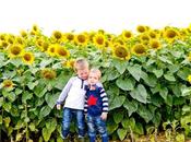 Boys August 2017 Feeling Less Overwhelmed Mummy