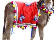 Meet Vijay Parsana, Ideal Gau-rakshak