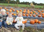 Things With Kids This Autumn: Autumn Bucket List