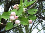 Friday Encouragement Interlude