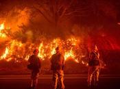 Stark Evidence: Warmer World Sparking More Bigger Wildfires