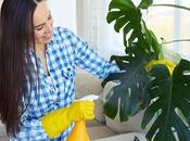 Tips Keep Your Home Office Clean Organized