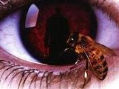 Franchise Weekend Candyman (1992)