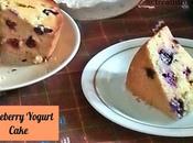 Blueberry Yogurt Cake Recipe