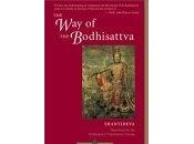 BOOK REVIEW: Bodhisattva Shantideva