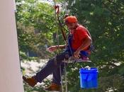 Window Vacuums: They Actually Work?