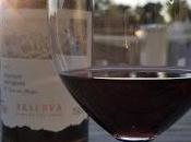 Ways Enjoy Wines Chile