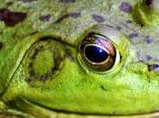 October 21st Is... (Includes Printable Freebies)