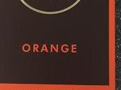 Today's Review: Magnum Orange Chocolate