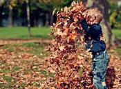 Tips Keeping Your House Clean Fall