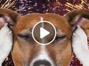 FREEBIE: Music Relax Your (ALL)