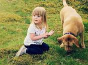 Know Much Should Feeding Your Dog?